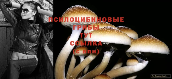 PSILOCYBIN Алексин