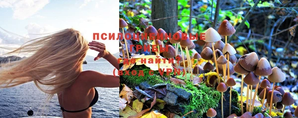 PSILOCYBIN Алексеевка
