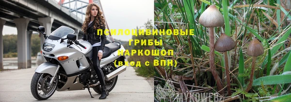 PSILOCYBIN Алексин