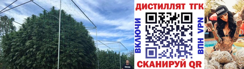 кракен как войти  наркота  Гурьевск  Дистиллят ТГК THC oil 