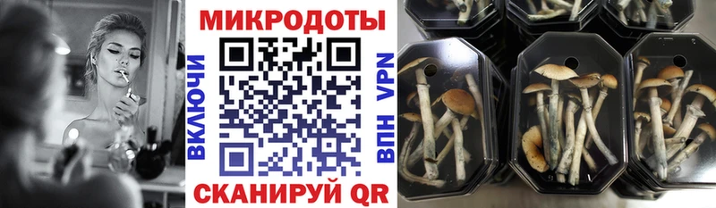 закладка  Гурьевск  это наркотические препараты  Галлюциногенные грибы ЛСД 