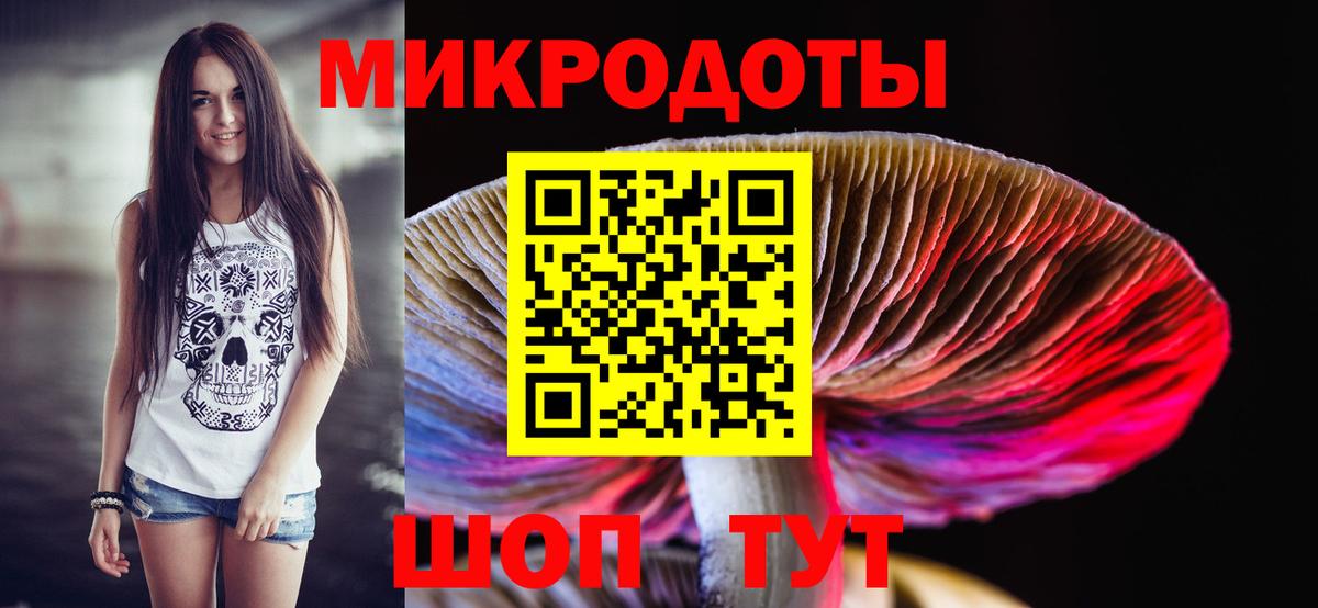 Гурьевск  Галлюциногенные грибы Psilocybe  Вход с VPN 