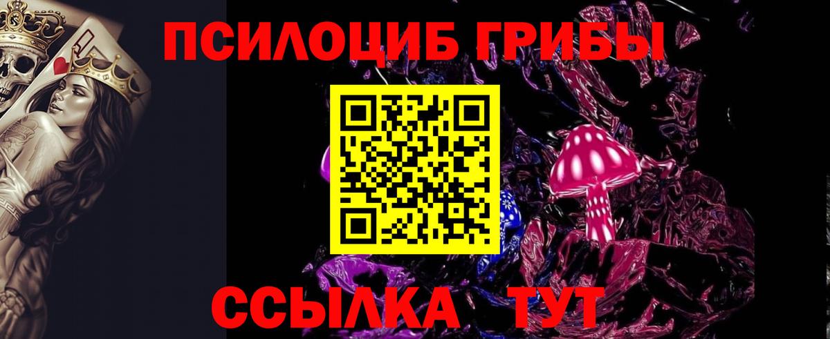 Галлюциногенные грибы Cubensis Гурьевск